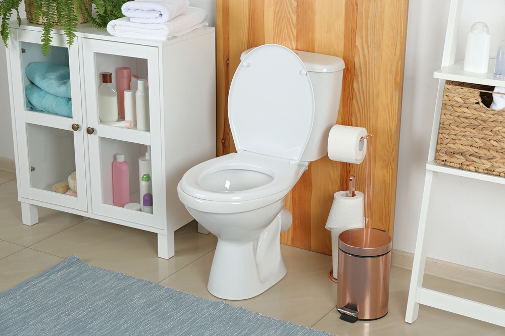 toilet bowl